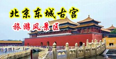 男人用大鸡巴插进女生逼里免费看的视频中国北京-东城古宫旅游风景区